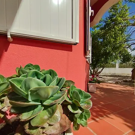 Πανσιόν Casa Da Duna - Salir Do Porto Salir de Porto