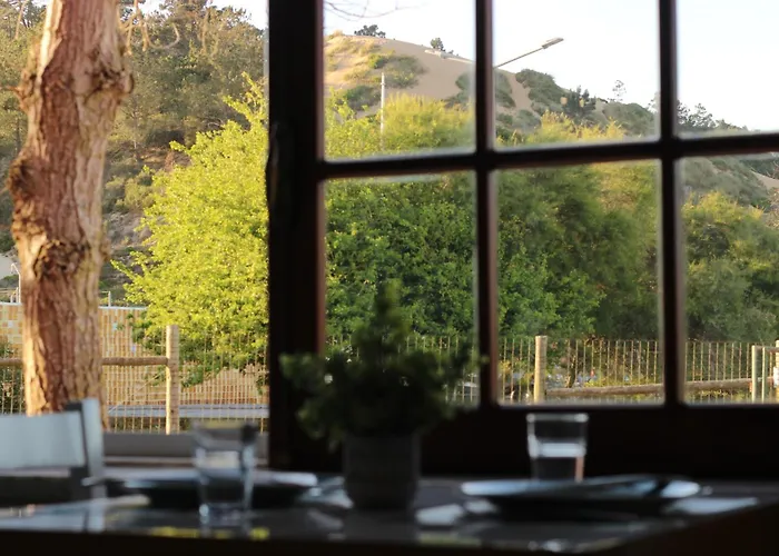 بيت ضيافة Casa Da Duna - Salir Do Porto
